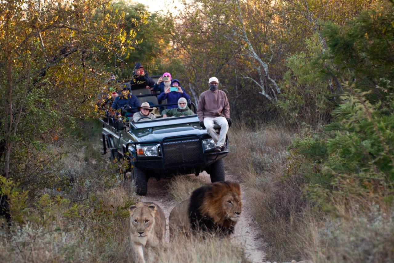 Karongwe Portfolio - Becks Safari Lodge Karongwe Game Reserve Dış mekan fotoğraf