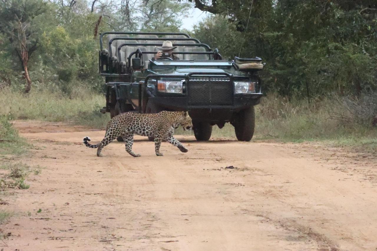 Karongwe Portfolio - Becks Safari Lodge Karongwe Game Reserve Dış mekan fotoğraf