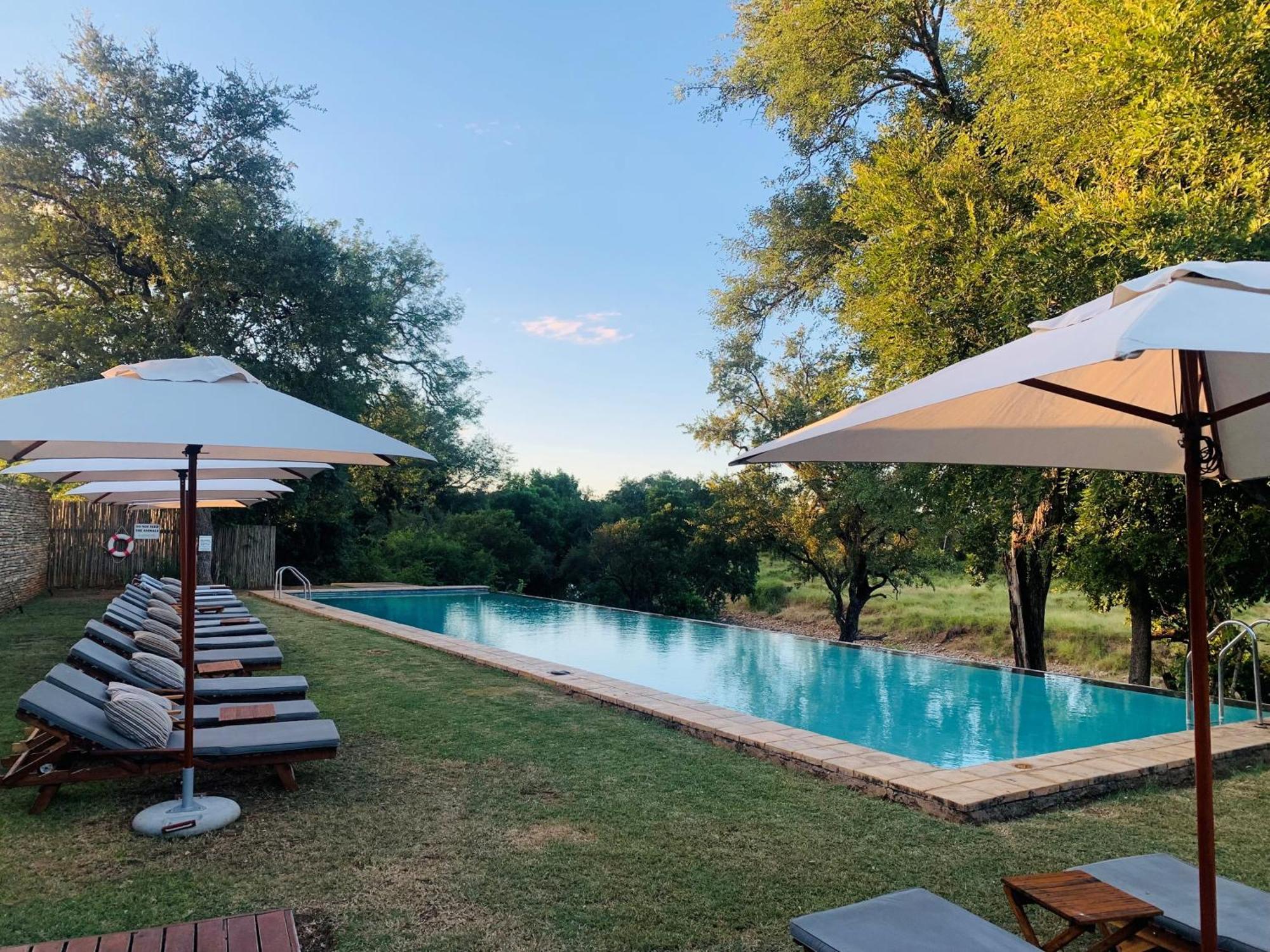 Karongwe Portfolio - Becks Safari Lodge Karongwe Game Reserve Dış mekan fotoğraf