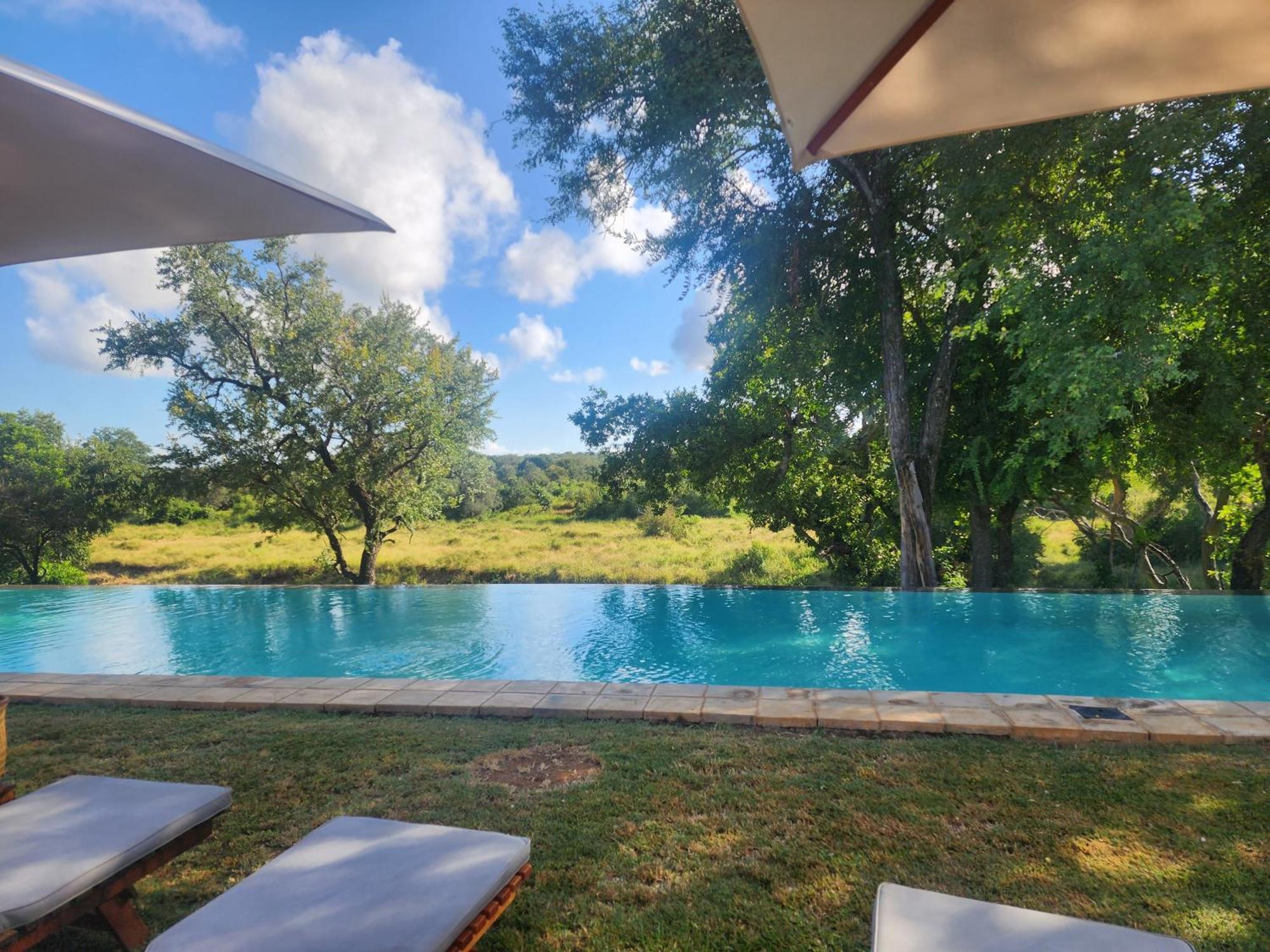 Karongwe Portfolio - Becks Safari Lodge Karongwe Game Reserve Dış mekan fotoğraf
