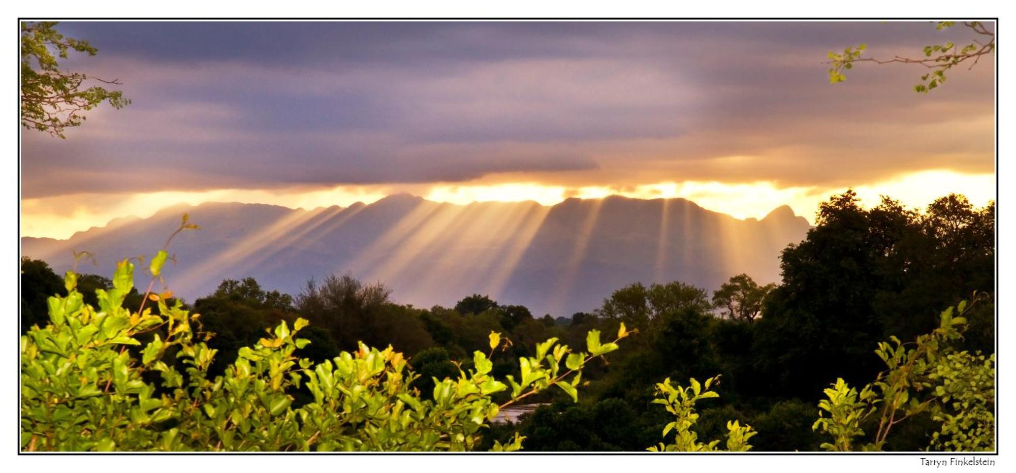 Karongwe Portfolio - Becks Safari Lodge Karongwe Game Reserve Dış mekan fotoğraf