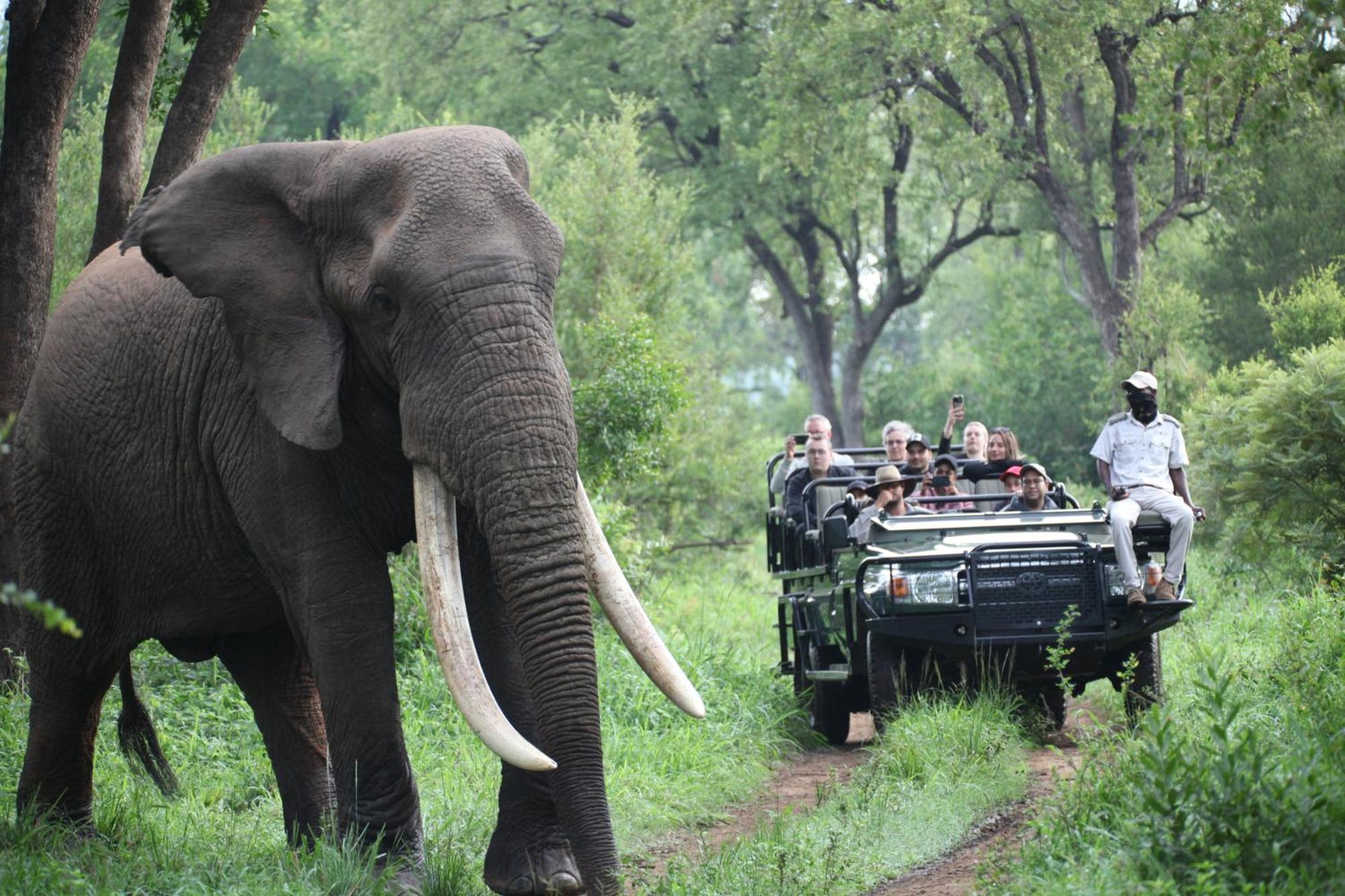 Karongwe Portfolio - Becks Safari Lodge Karongwe Game Reserve Dış mekan fotoğraf