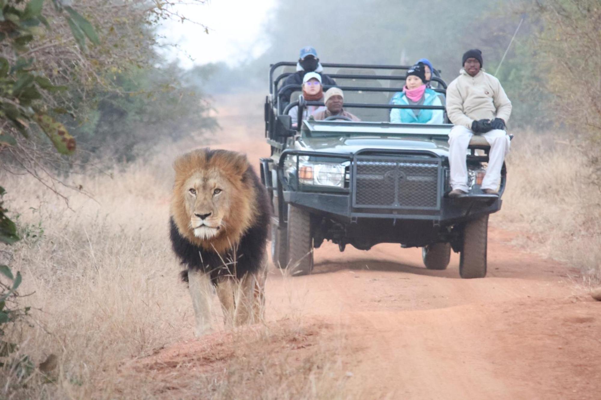 Karongwe Portfolio - Becks Safari Lodge Karongwe Game Reserve Dış mekan fotoğraf