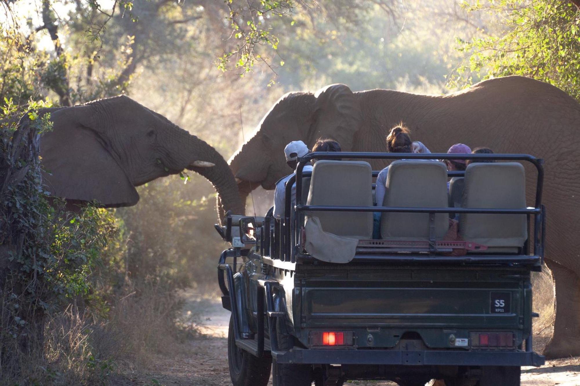 Karongwe Portfolio - Becks Safari Lodge Karongwe Game Reserve Dış mekan fotoğraf