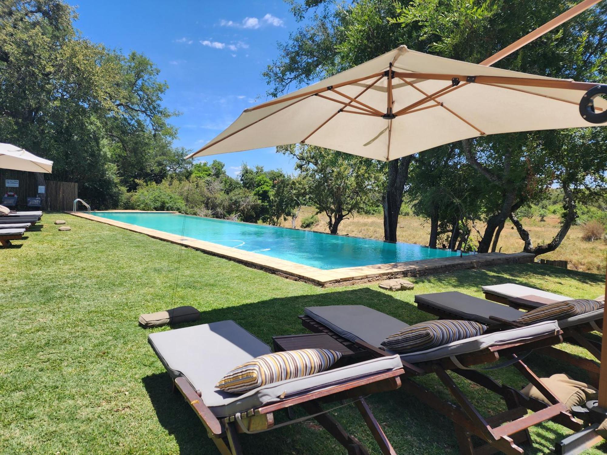Karongwe Portfolio - Becks Safari Lodge Karongwe Game Reserve Dış mekan fotoğraf